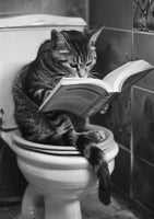 acrylic-print-literary-litter-box