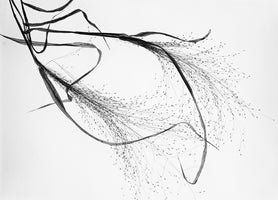 framedcanvas-print-falling-in-love-with-elegance