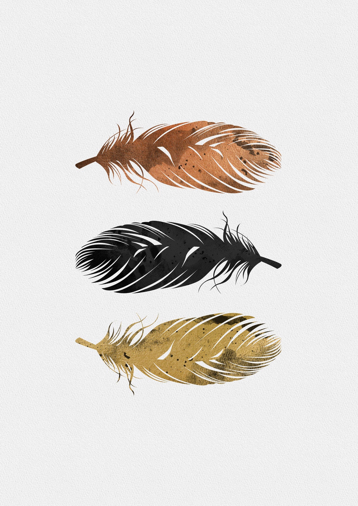 framedcanvas-print-feathers-2