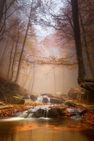 canvas-print-mistyc-mist-x