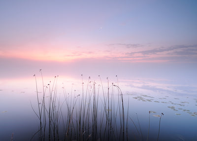 poster-print-lake