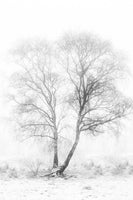 poster-print-early-in-the-morning