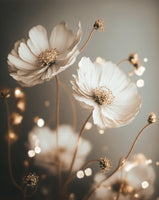 acrylic-print-petal-glow