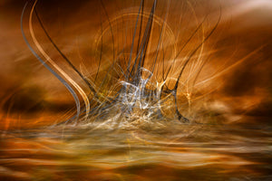 canvas-print-the-rising-x