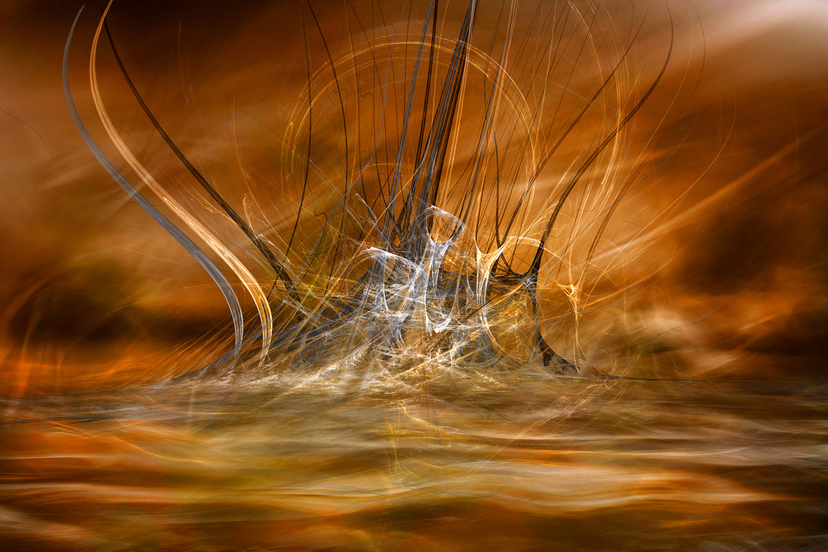 canvas-print-the-rising-x