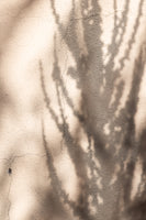 acrylic-print-summer-shadows-7