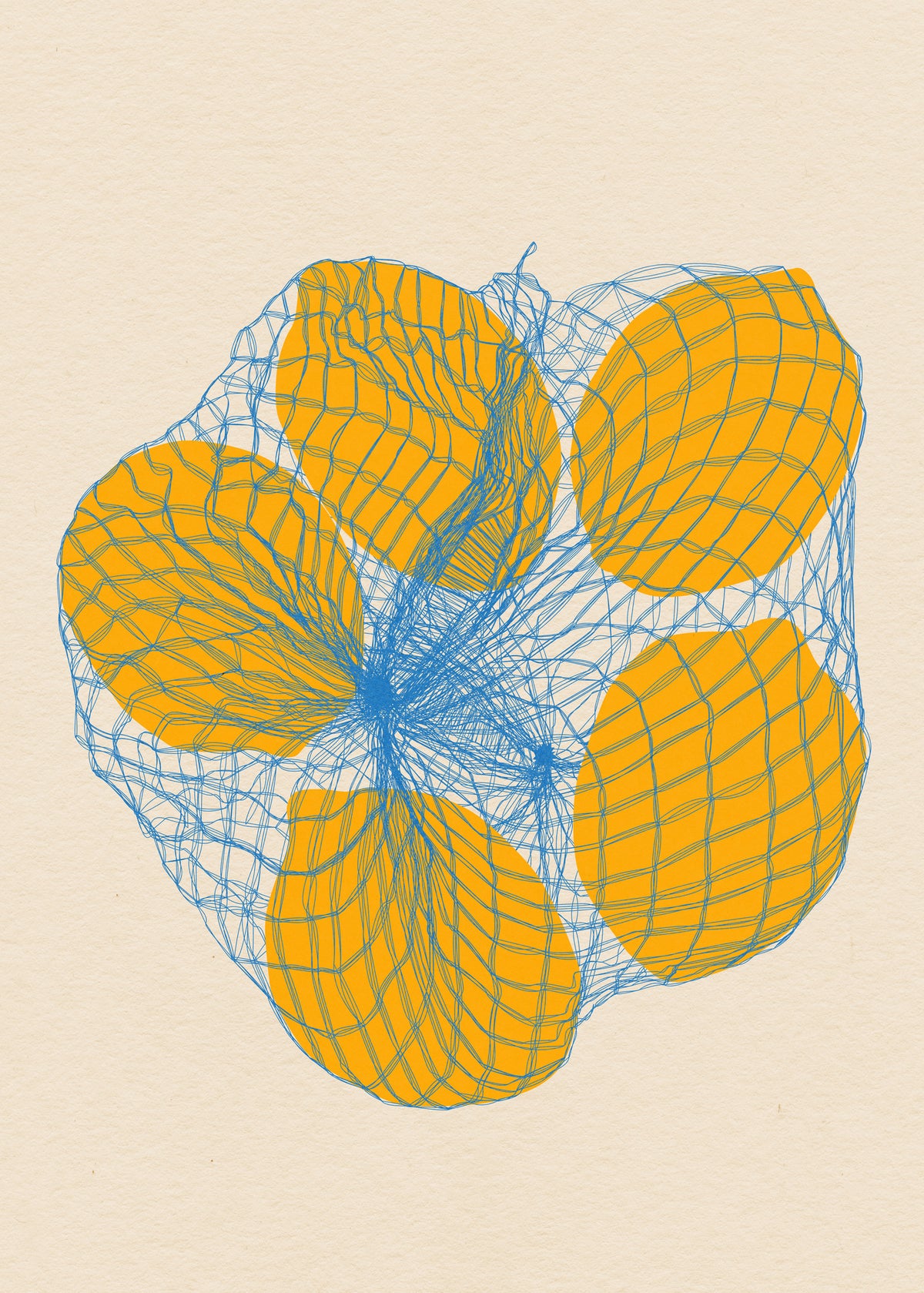 aluminium-print-five-lemons-in-a-net-bag