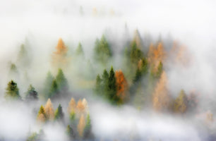 poster-print-autumn-dream-2