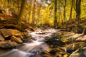 3-piece-canvas-print-real-nature-beauty