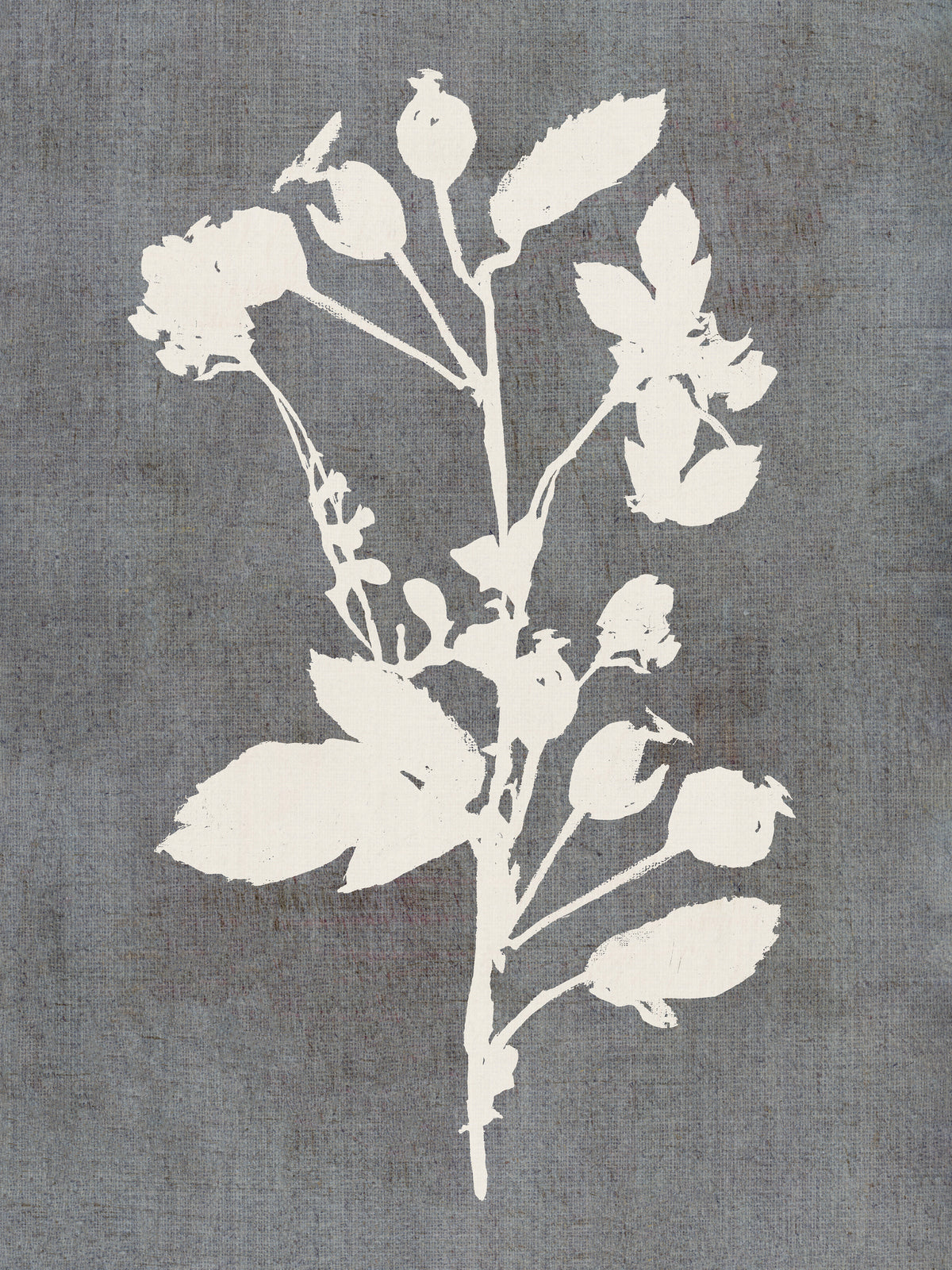 framedposter-print-botanical-illustration-6