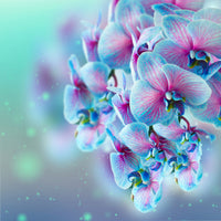 4-piece-acrylic-print-colored-orchids