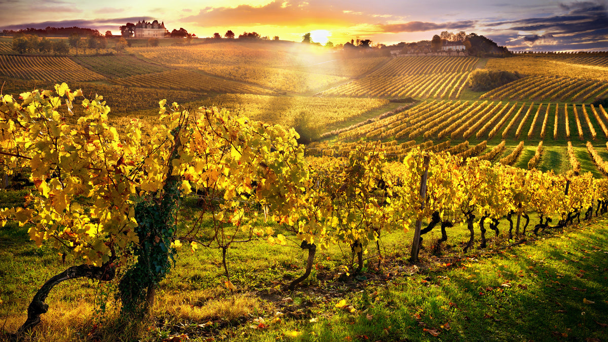 5-piece-canvas-print-vineyards-bergerac-france