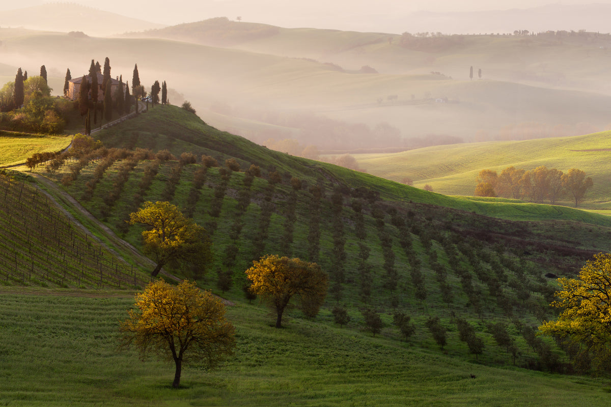 3-piece-acrylic-print-tutte-le-strade-portano-a-belvedere