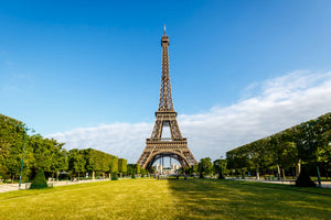 framedposter-print-the-eiffel-tower-in-paris
