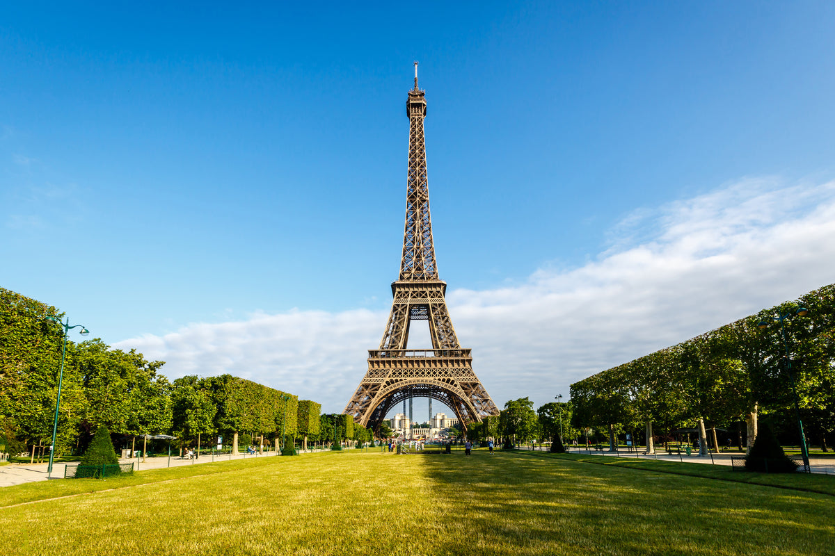 framedposter-print-the-eiffel-tower-in-paris