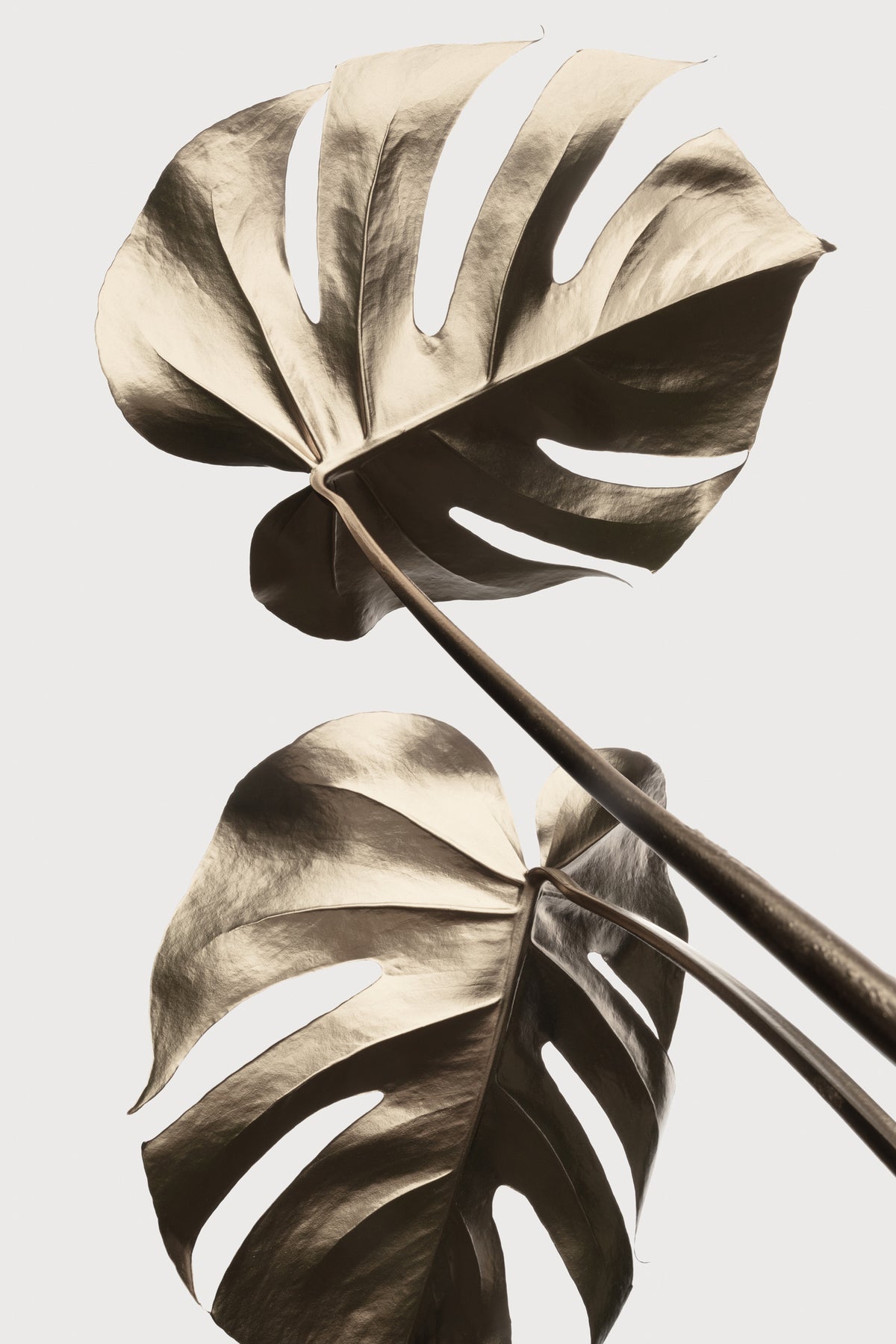 framedposter-print-monstera-gold-08