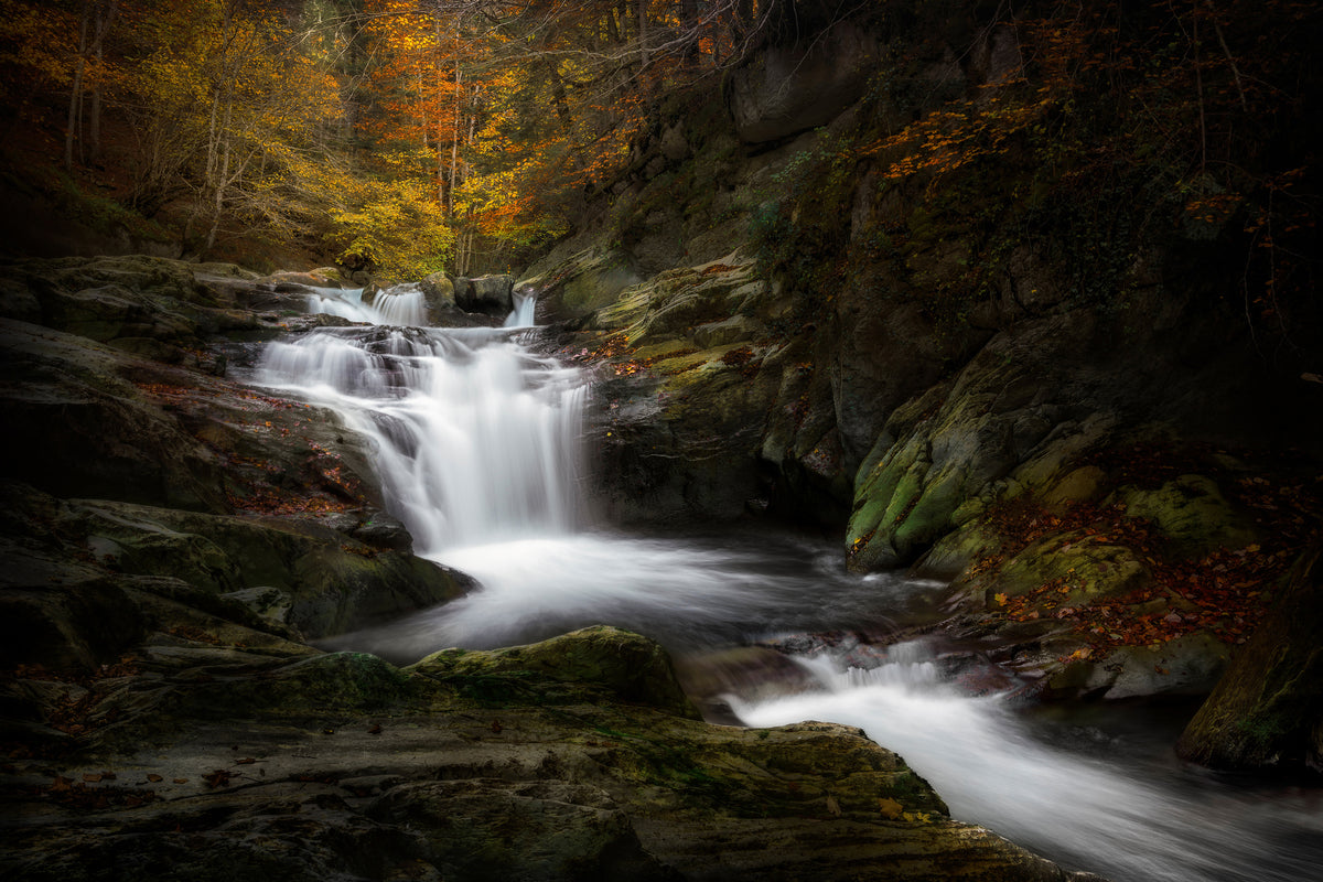 acrylic-print-irati-jungle-x