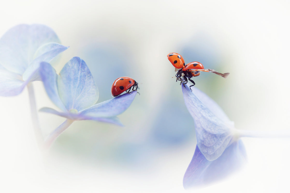 acrylic-print-remember-me-x