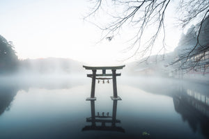 framedposter-print-japan-x