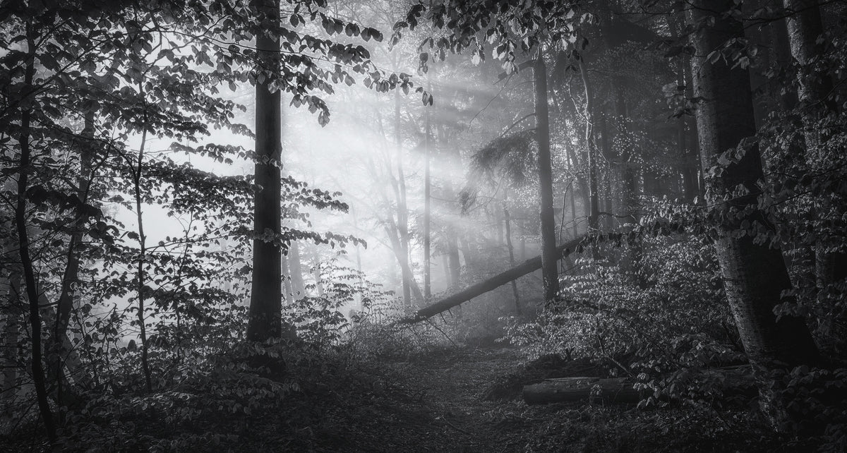 acrylic-print-point-of-no-return