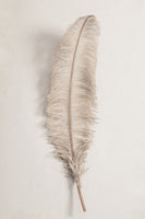 aluminium-print-feather-002
