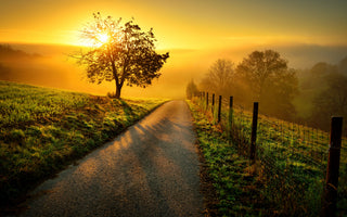 3-piece-canvas-print-the-path-to-happiness