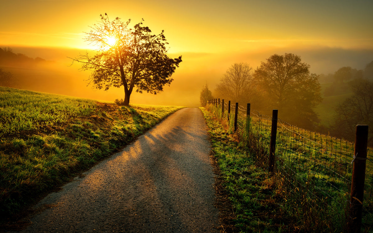 3-piece-canvas-print-the-path-to-happiness