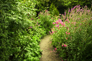 canvas-print-garden-path