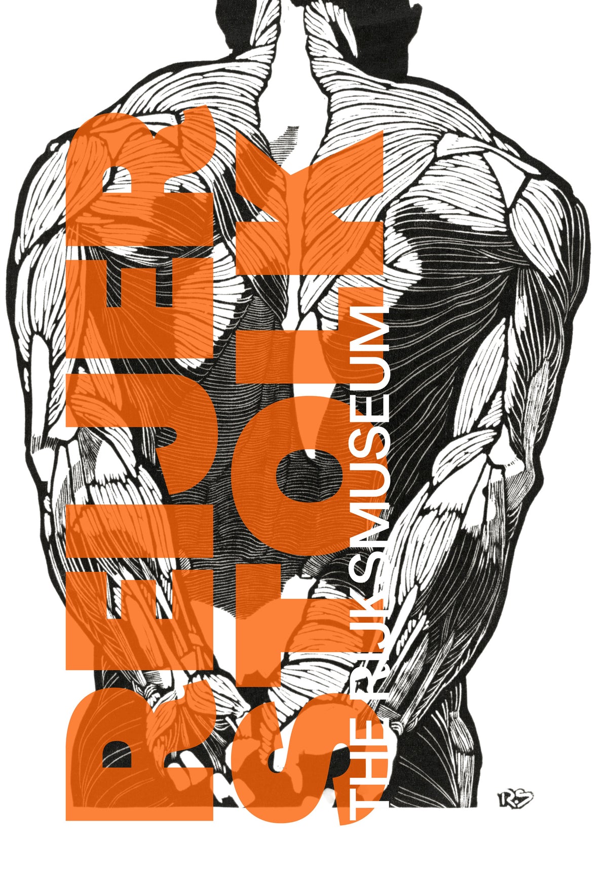 canvas-print-anatomy-lines