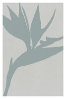 aluminium-print-bird-of-paradise-3