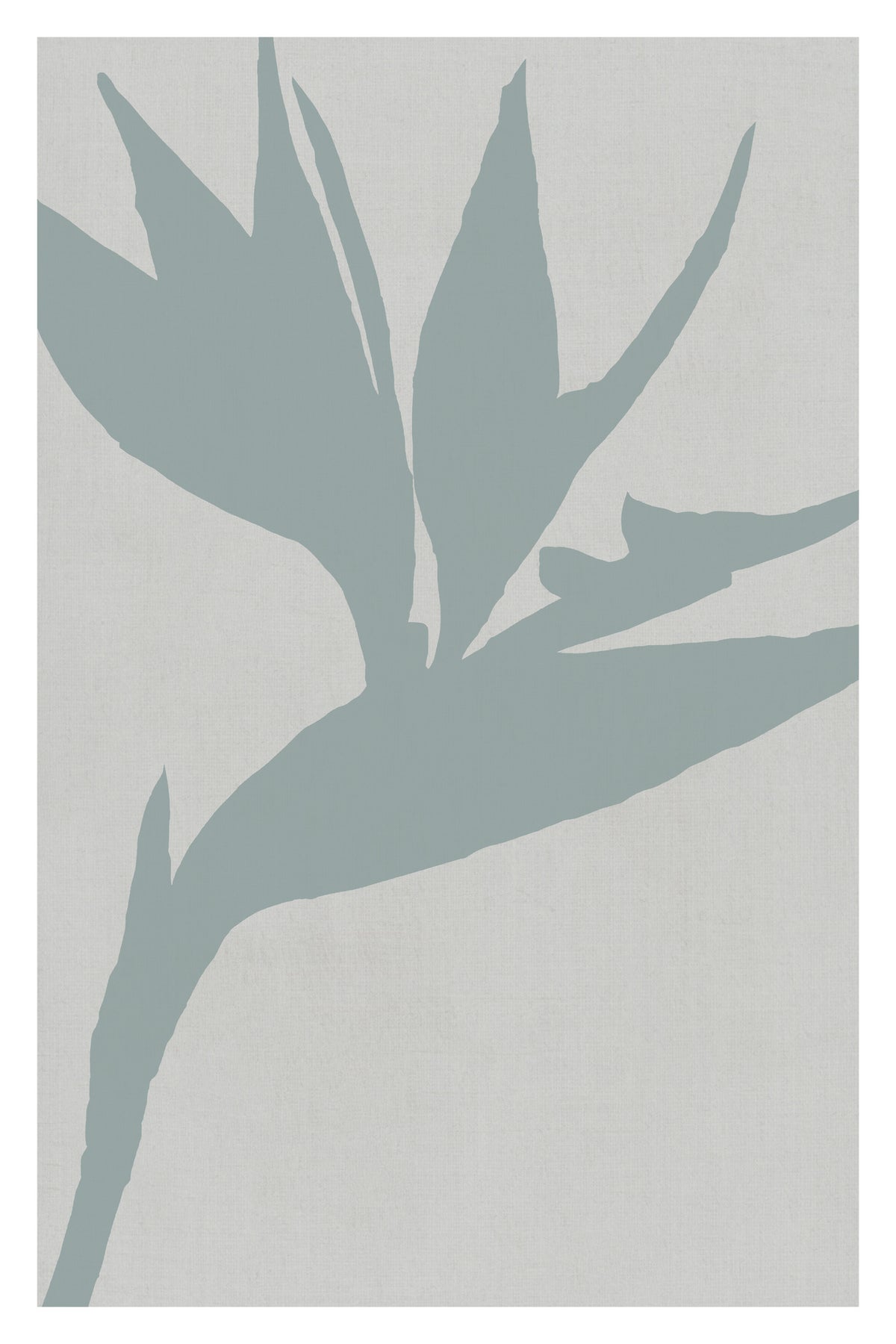 aluminium-print-bird-of-paradise-3