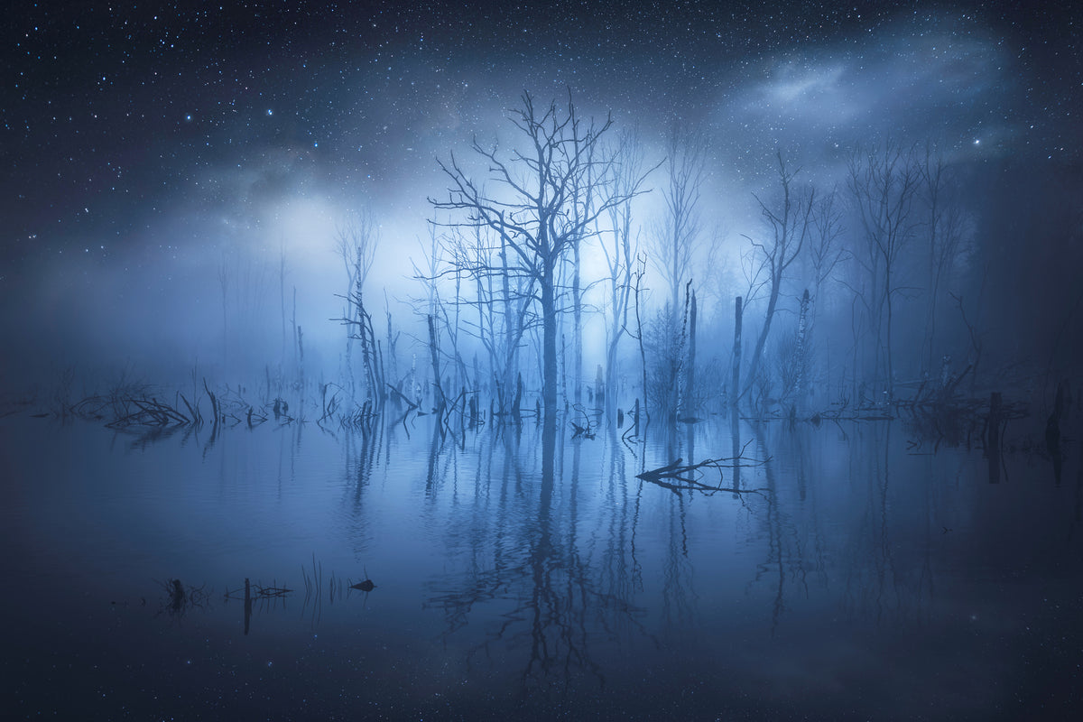 canvas-print-stranger-things