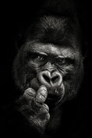 canvas-print-attitude-x