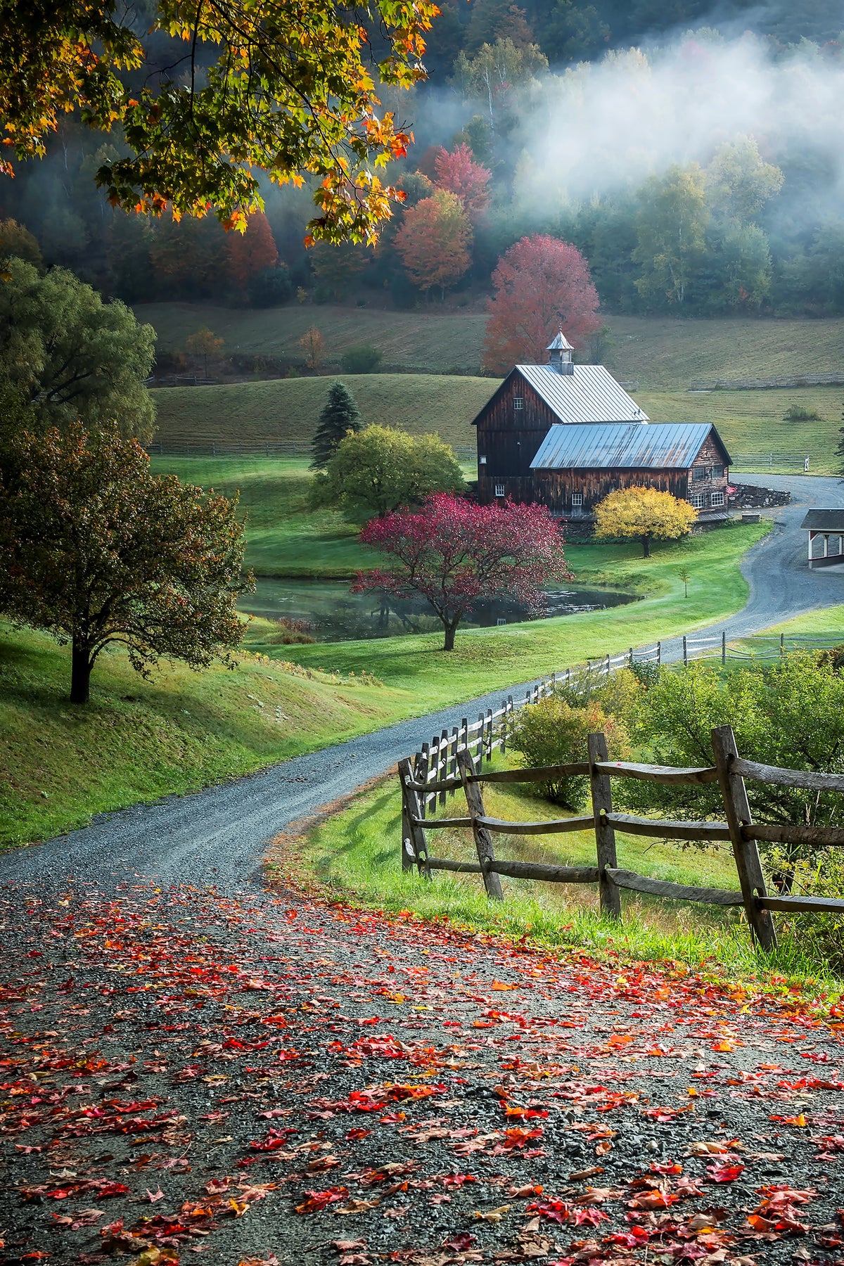 canvas-print-untitled-xwpwpa