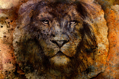 poster-print-portrait-of-a-lion-ii