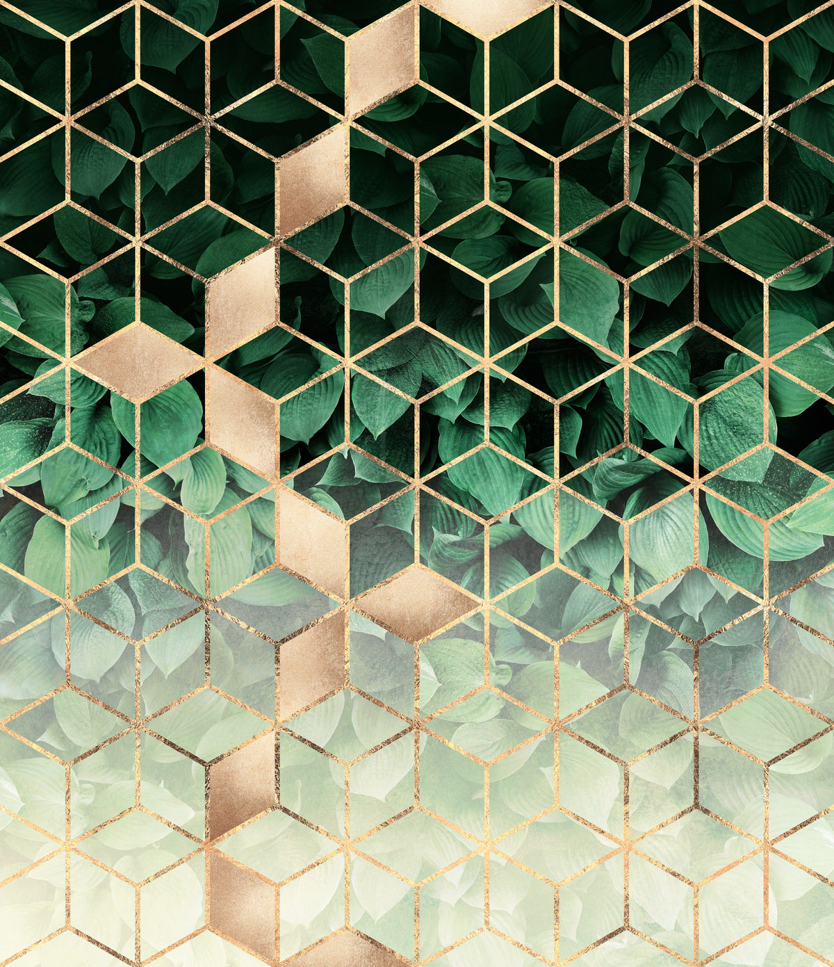 framedposter-print-leaves-and-cubes