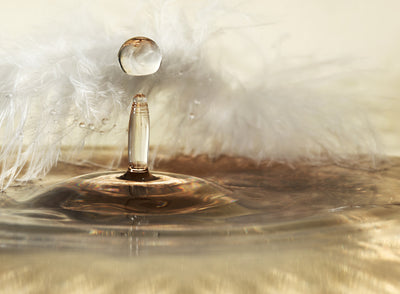 poster-print-golden-featherdrops