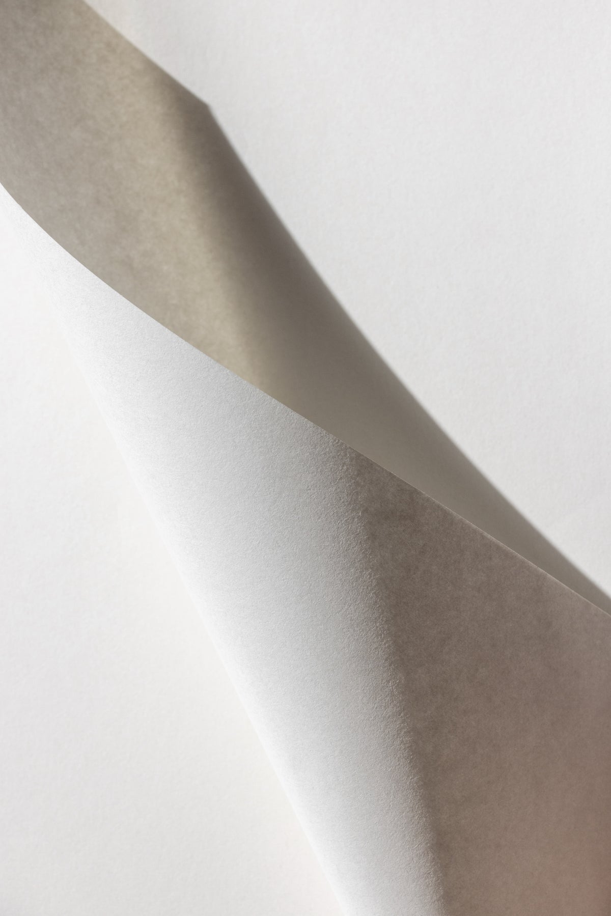 canvas-print-paper-studies-15