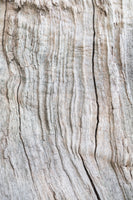 canvas-print-wood-pattern