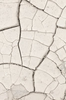 canvas-print-clay-wall-light-sand