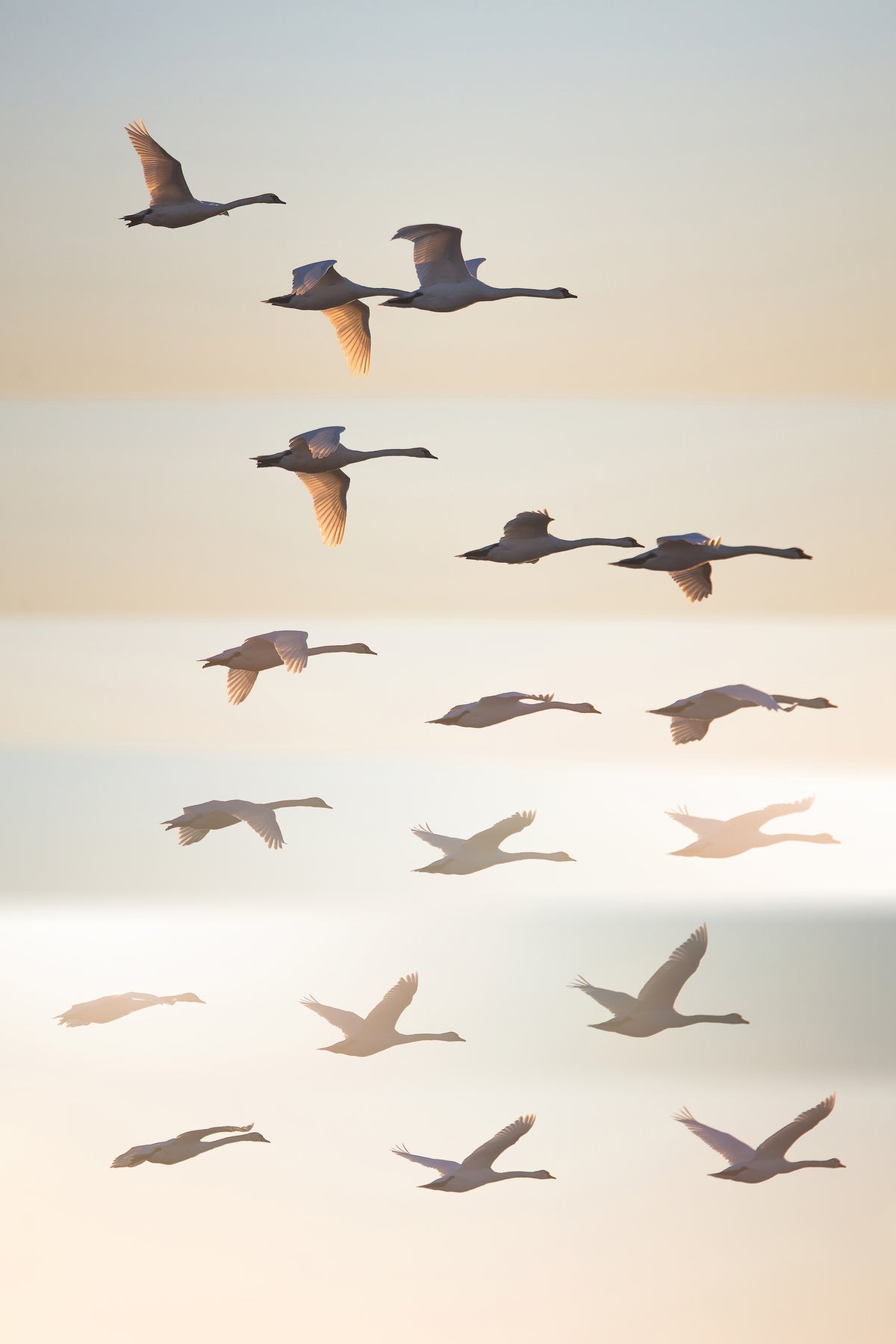 canvas-print-past-the-sun