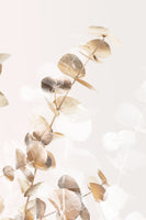 acrylic-print-eucalyptus-creative-gold-02