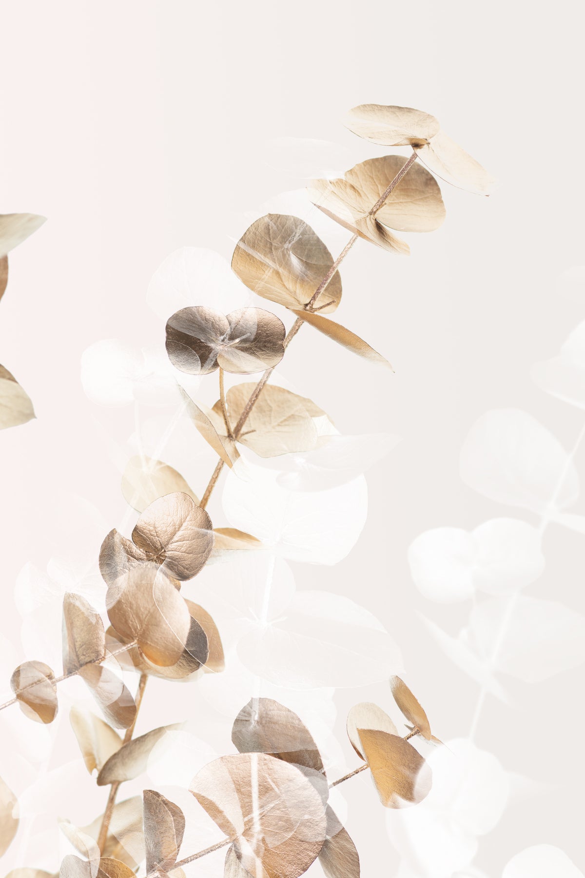 acrylic-print-eucalyptus-creative-gold-02