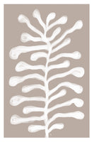 framedposter-print-white-organic-plant