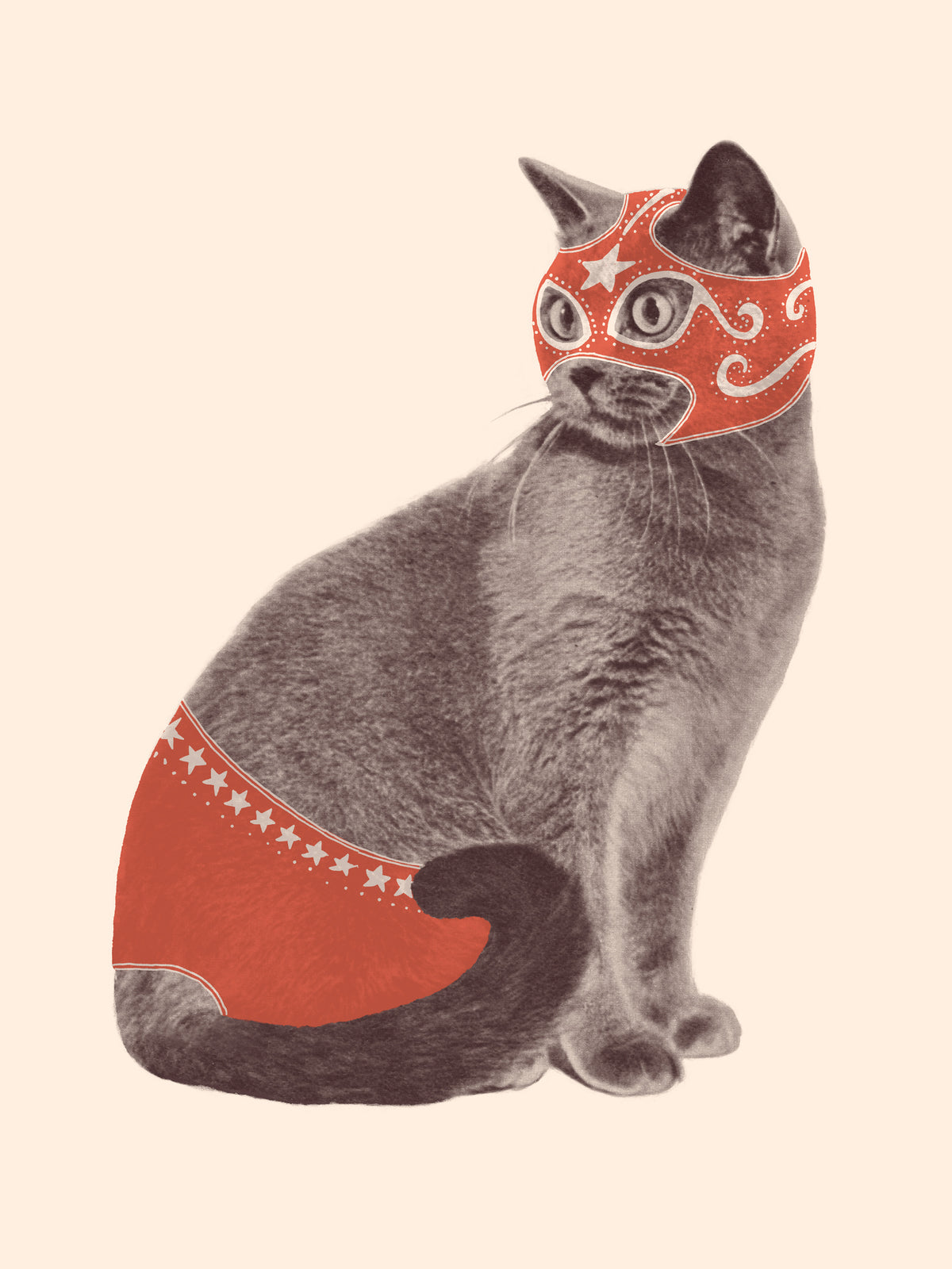 acrylic-print-chat-catcheur