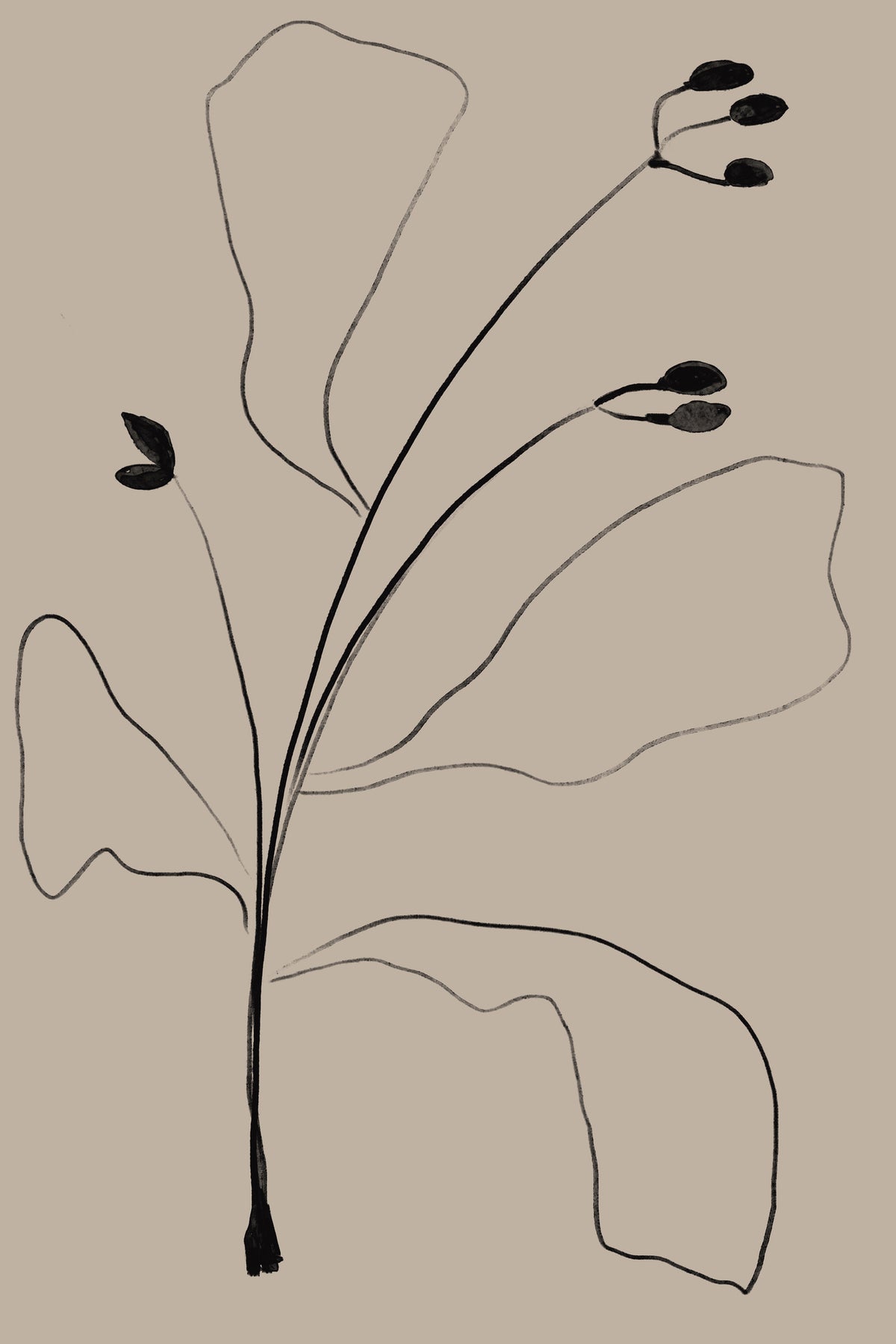 acrylic-print-simply-line-plant
