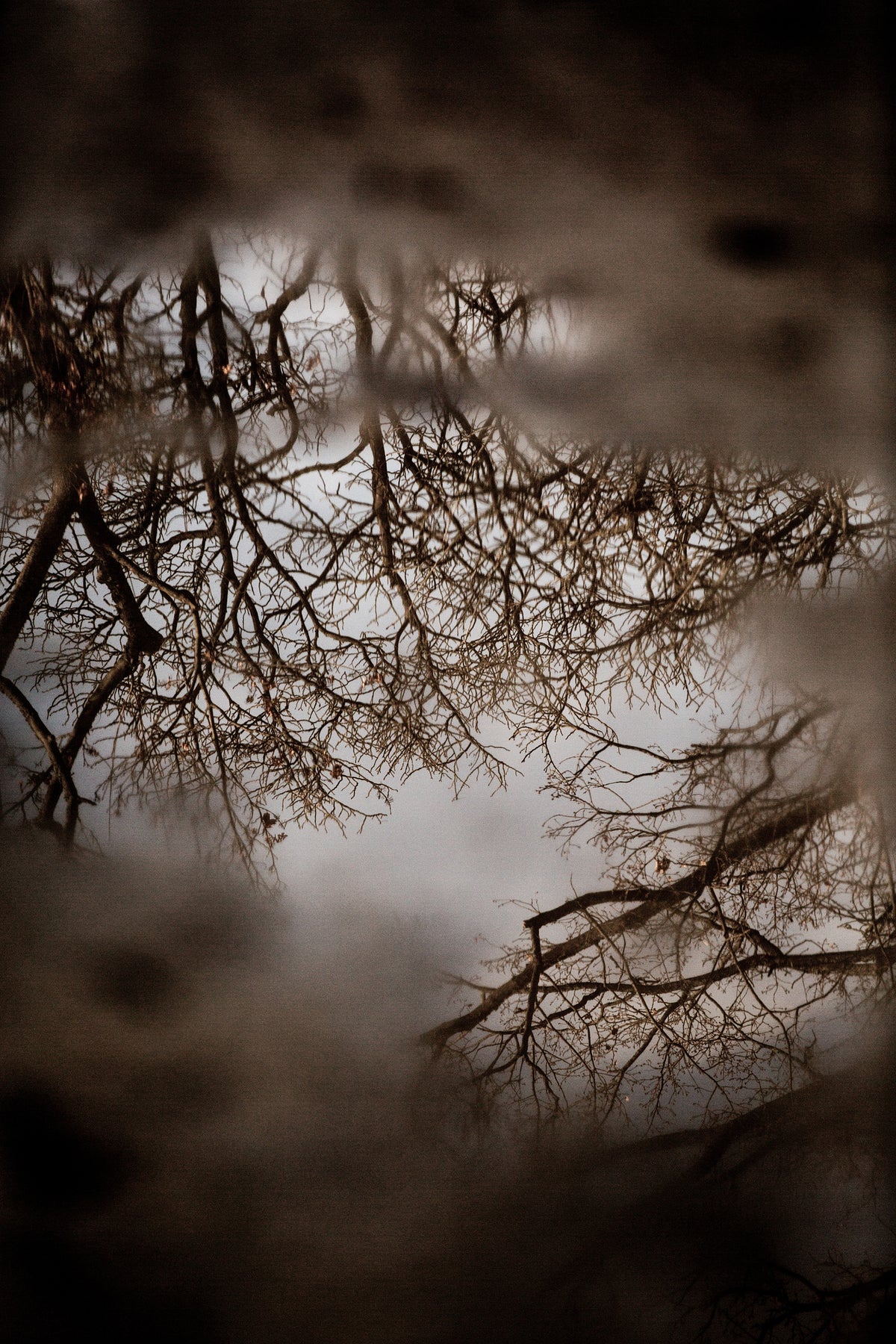 acrylic-print-winter-reflections