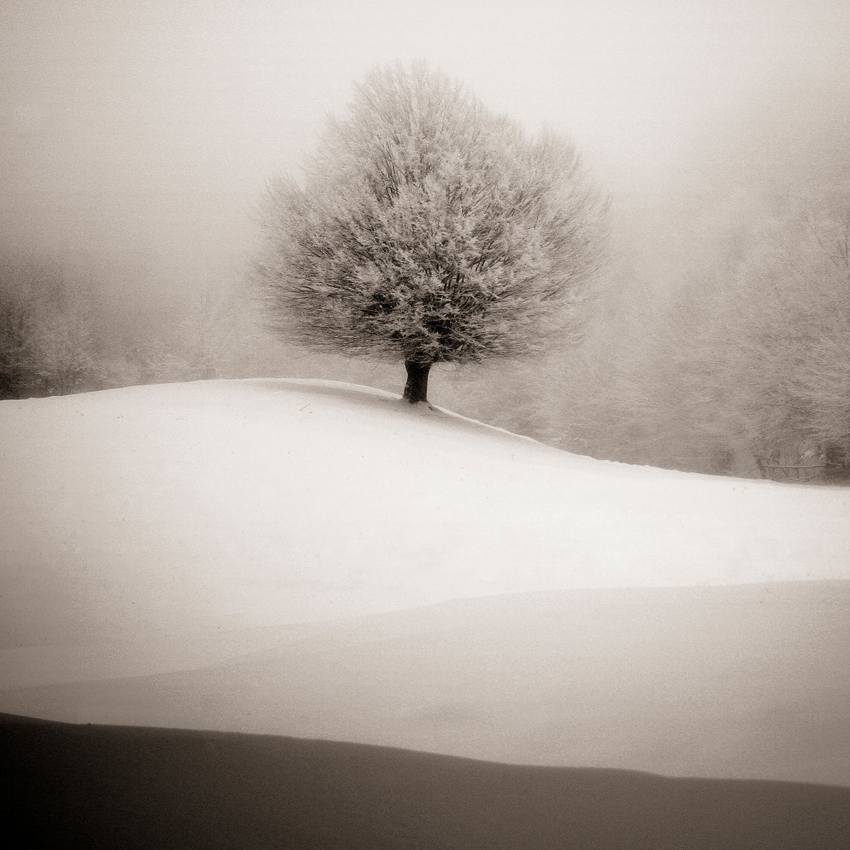acrylic-print-winter-degradee