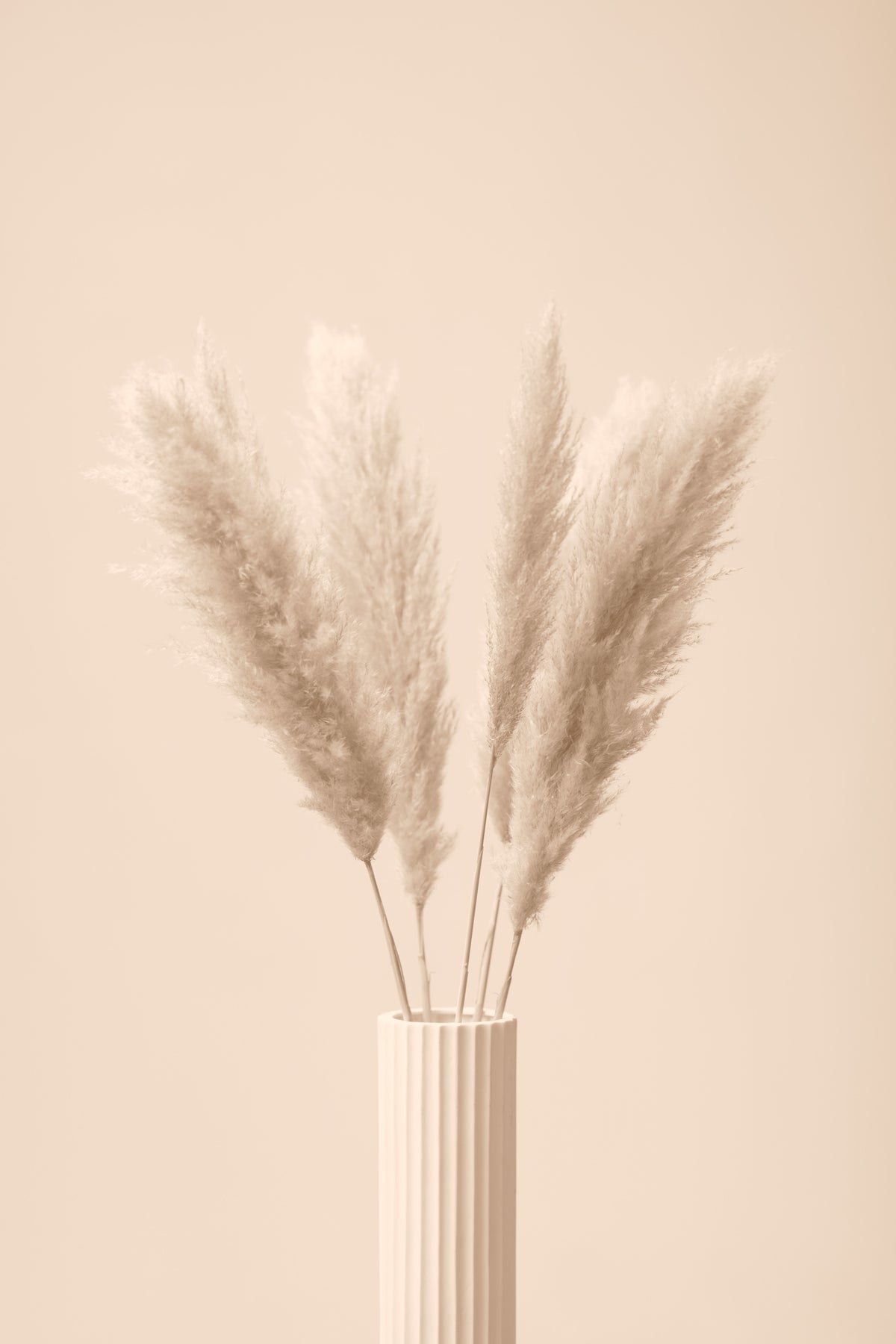 aluminium-print-pampas-grass-beige-11