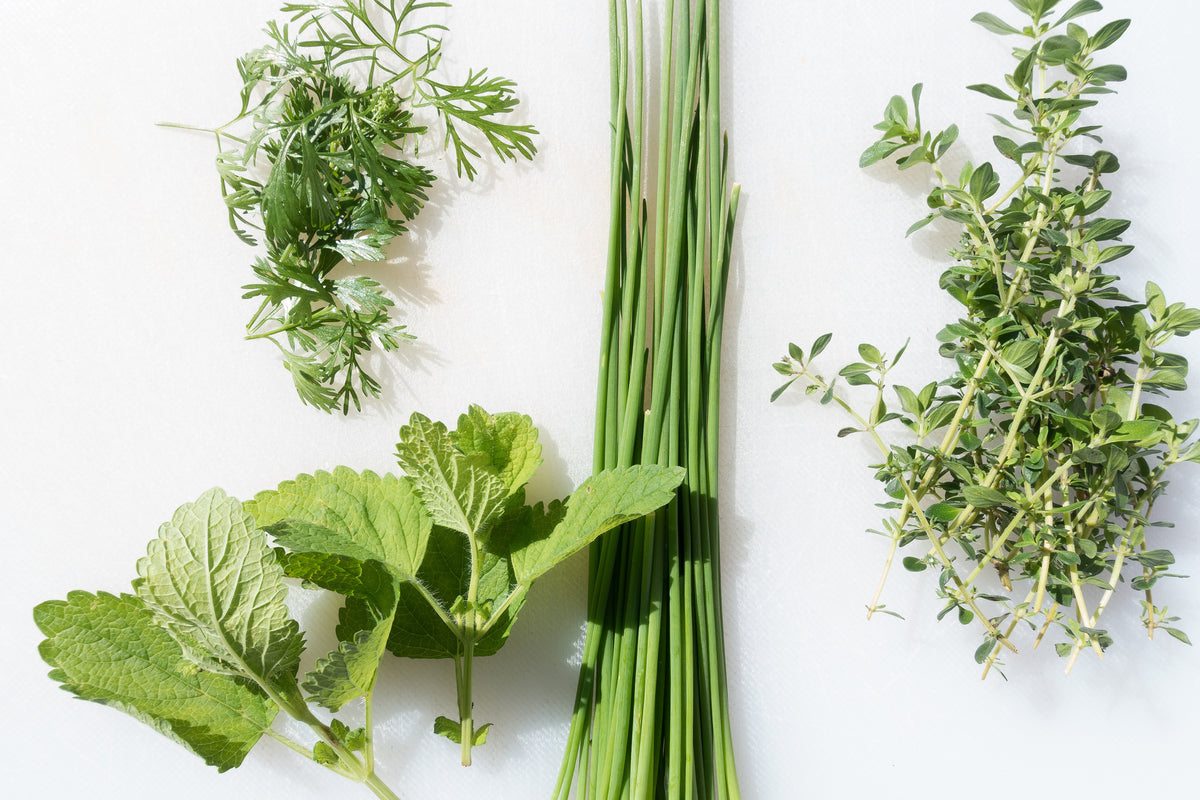 3-piece-canvas-print-fresh-herbs